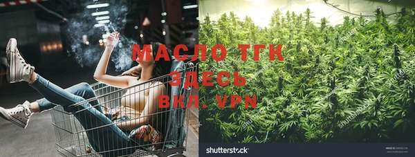 винт Аркадак