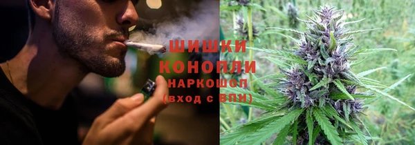 бутират Арсеньев